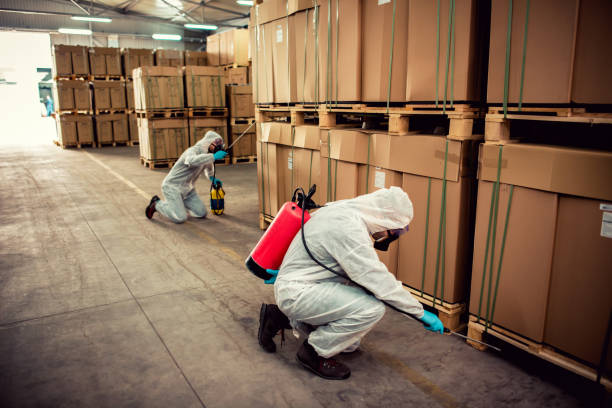 Best Flea Control Services  in Squirrel Mountain Valley, CA