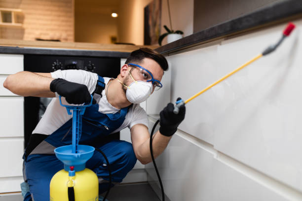 Best Pest Control Near Me in Squirrel Mountain Valley, CA
