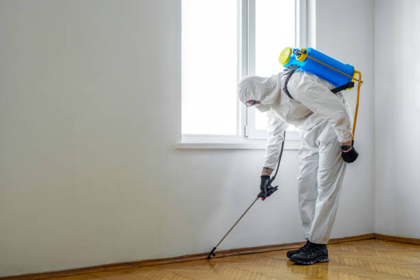 Best Best Pest Control Companies  in Squirrel Mountain Valley, CA