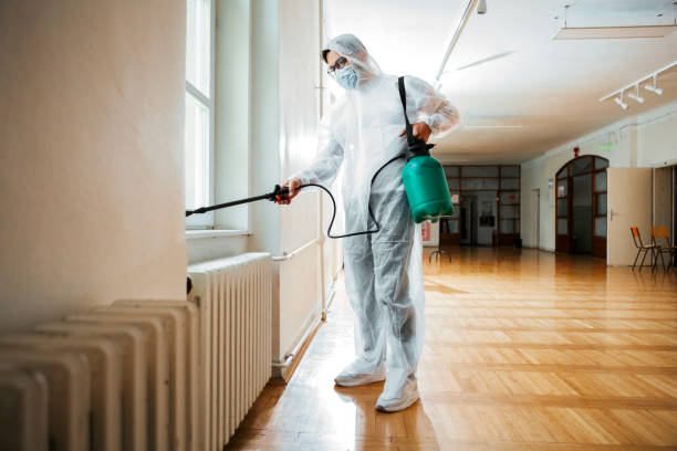 Reliable Squirrel Mountain Valley, CA Pest Control Solutions